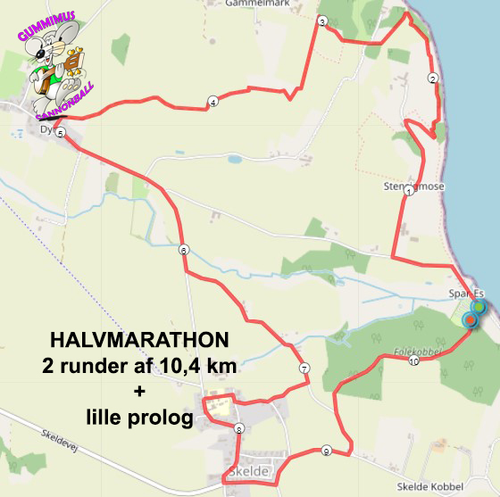 halvmarathon