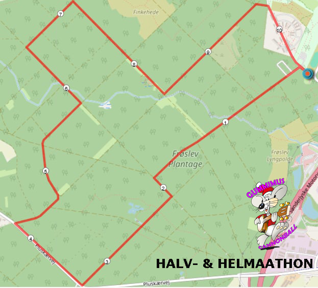 HALV HEL MARATHON